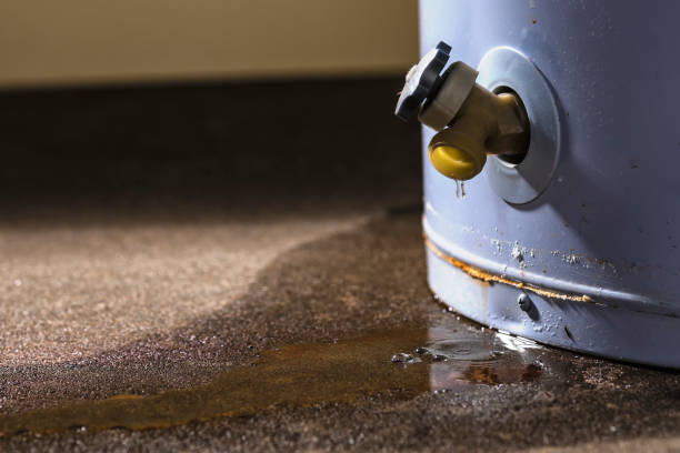 Best Water damage restoration mold remediation  in Rossville, MD
