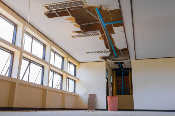 Water damage restoration mold remediation in Rossville, MD