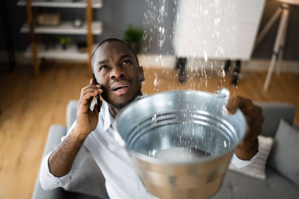  Rossville, MD Water damage restoration Pros