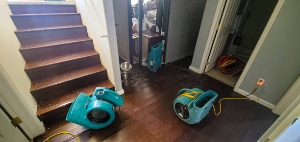 Best Residential water damage restoration  in Rossville, MD