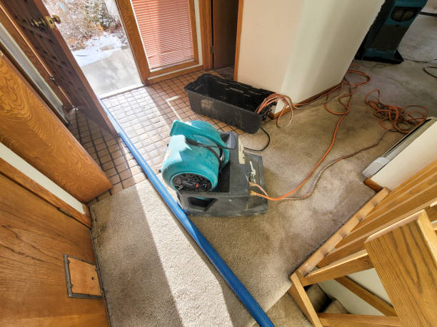 Best Flood damage cleanup  in Rossville, MD