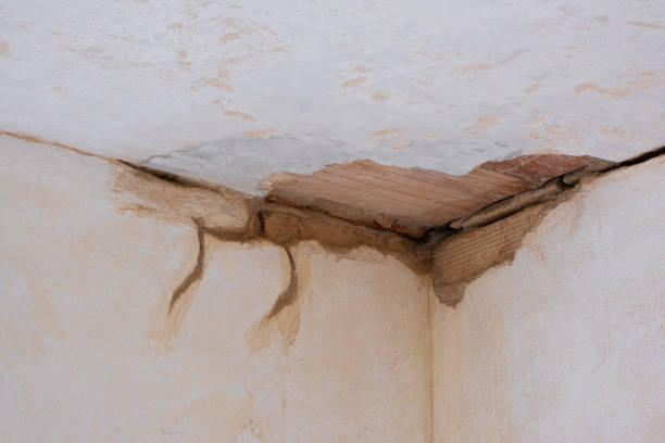 Best Water damage cleanup near me  in Rossville, MD