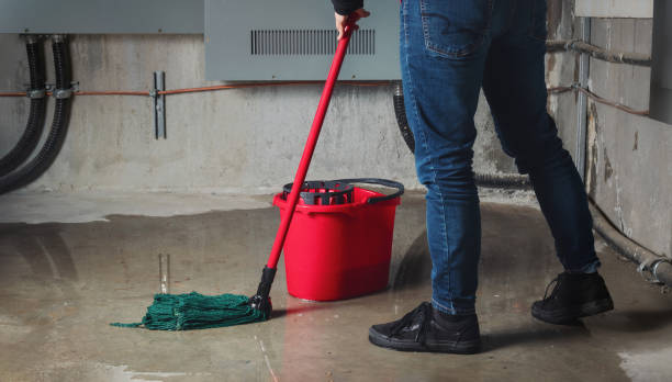 Best Water damage restoration near me  in Rossville, MD