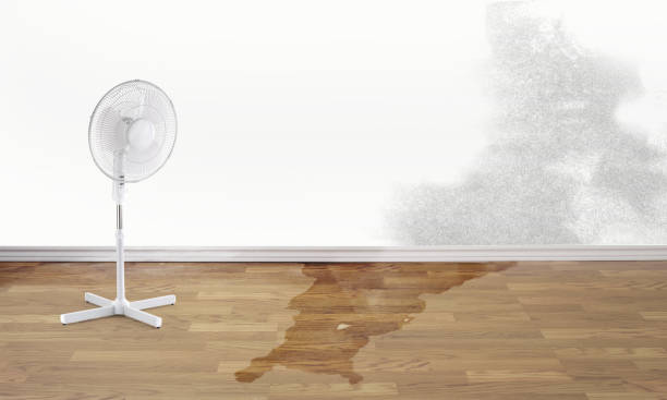 Best Sewage cleanup and water damage restoration  in Rossville, MD