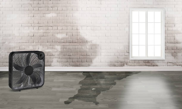 Best Water damage restoration process  in Rossville, MD