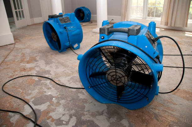Best Commercial water damage restoration  in Rossville, MD