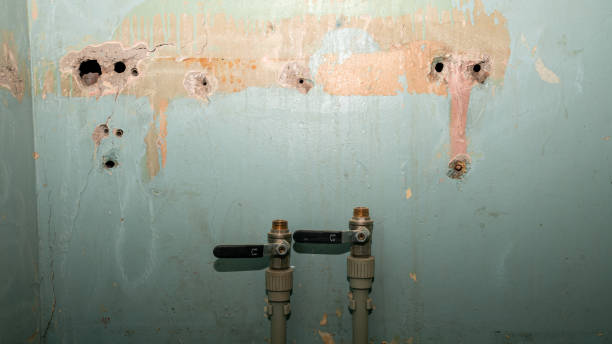 Best Water damage cleanup near me  in Rossville, MD