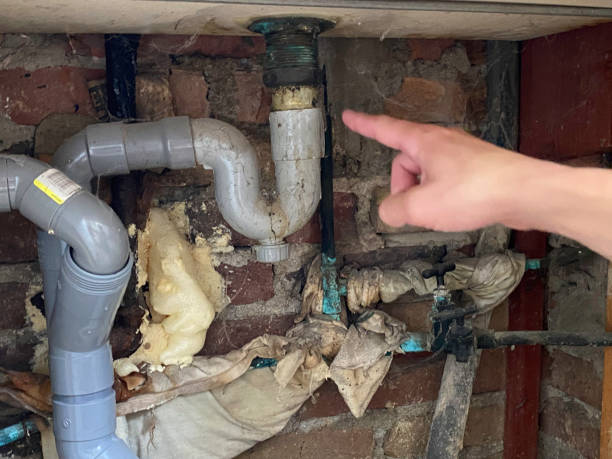 Trusted Rossville, MD Water damage restoration Experts
