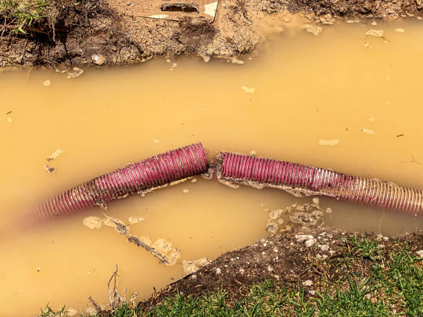 Best Water damage restoration near me  in Rossville, MD