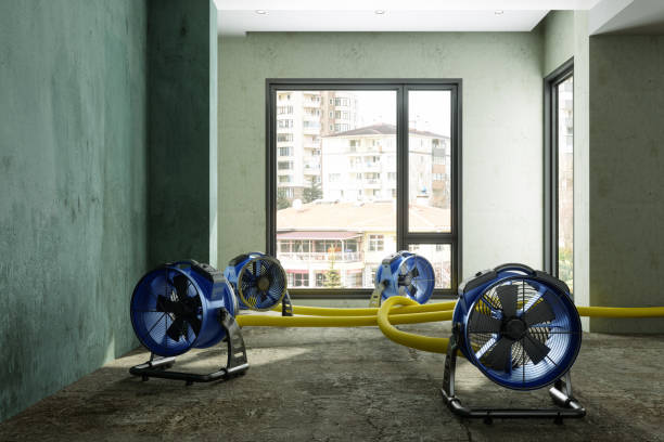 Best Flood restoration services  in Rossville, MD