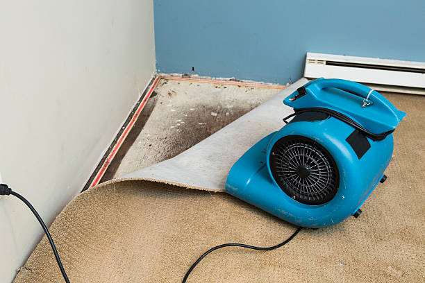 Best Fire Damage Restoration  in Rossville, MD
